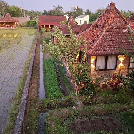 Alamanda Family Villas, Pool & Local Tours Yogyakarta Exteriör bild