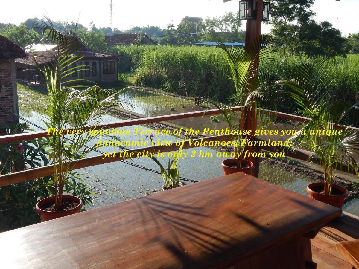 Alamanda Family Villas, Pool & Local Tours Yogyakarta Exteriör bild