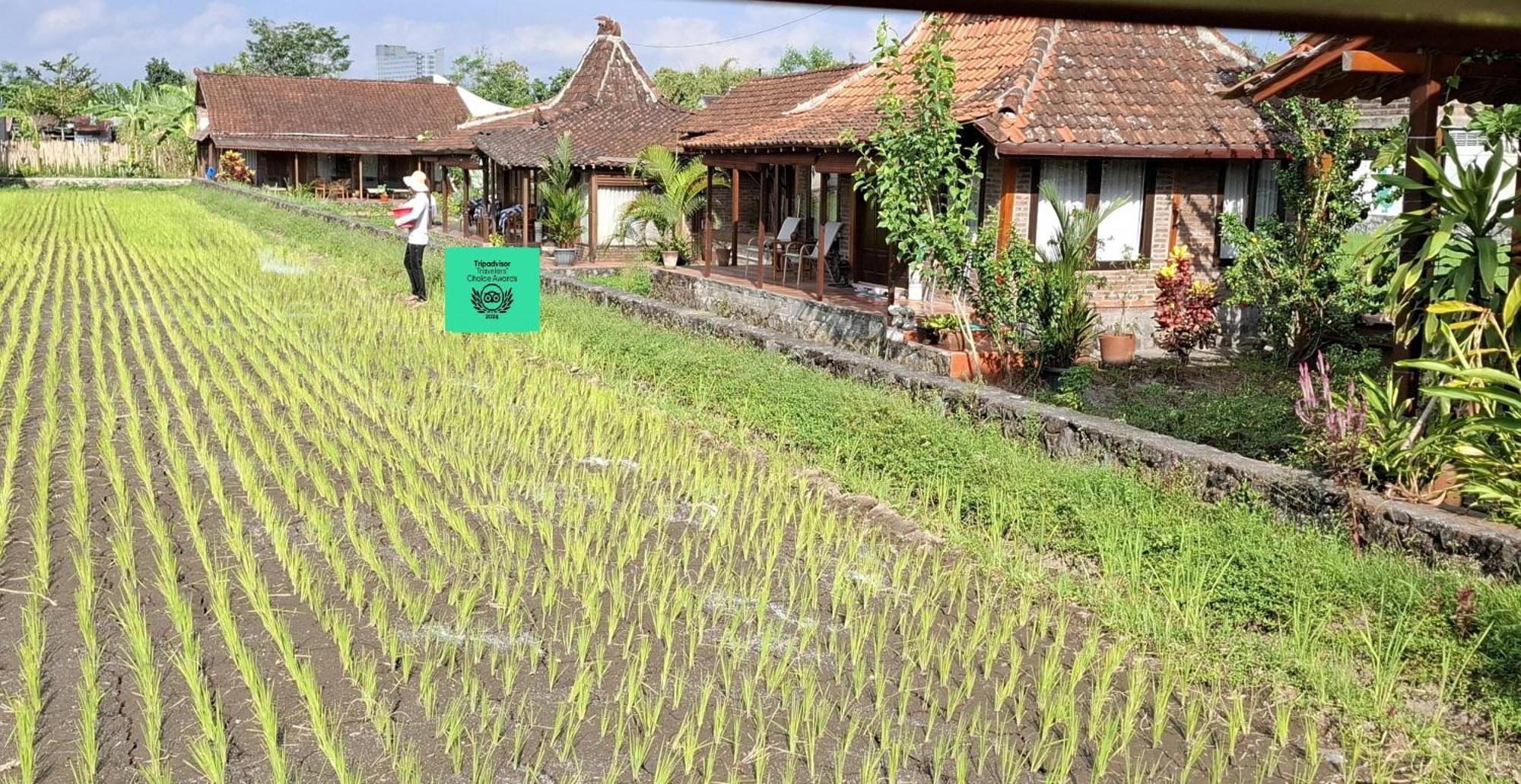 Alamanda Family Villas, Pool & Local Tours Yogyakarta Exteriör bild