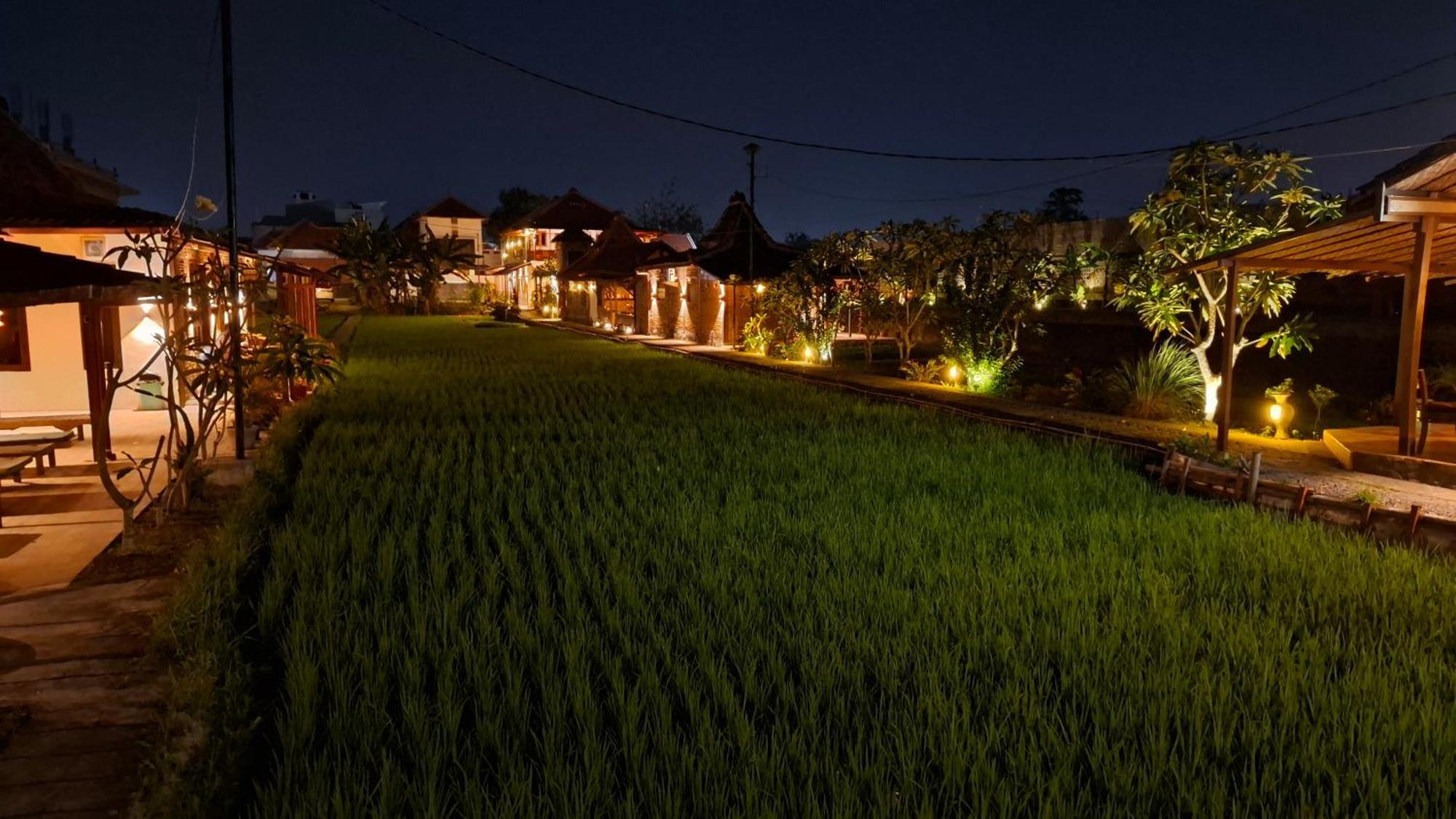 Alamanda Family Villas, Pool & Local Tours Yogyakarta Exteriör bild