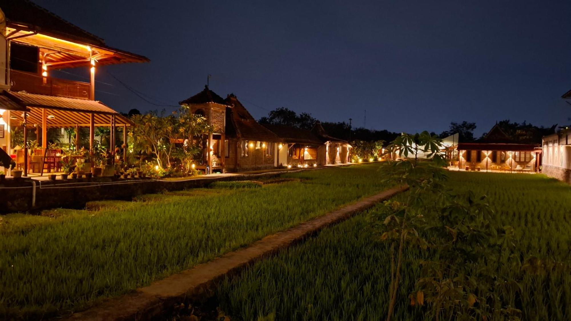 Alamanda Family Villas, Pool & Local Tours Yogyakarta Exteriör bild