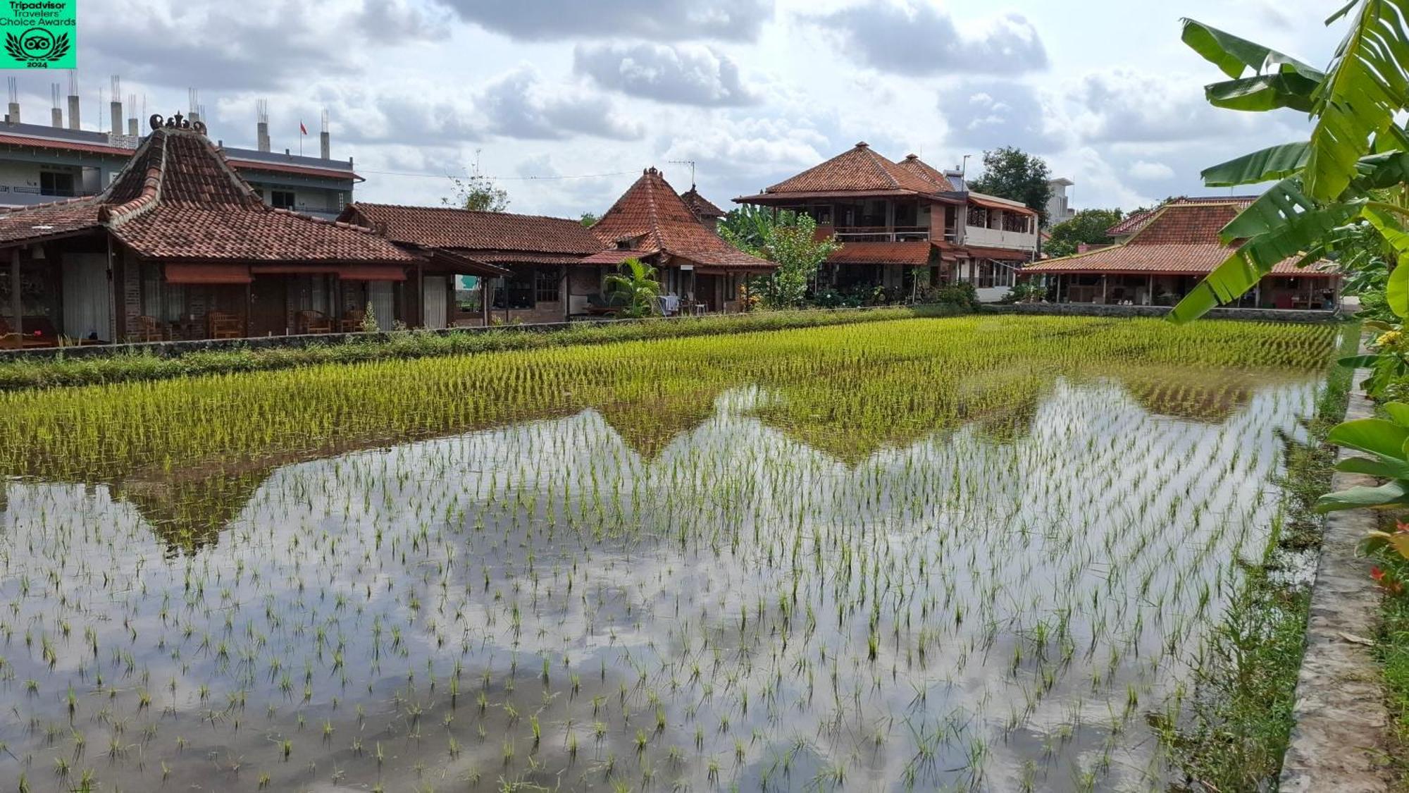 Alamanda Family Villas, Pool & Local Tours Yogyakarta Exteriör bild
