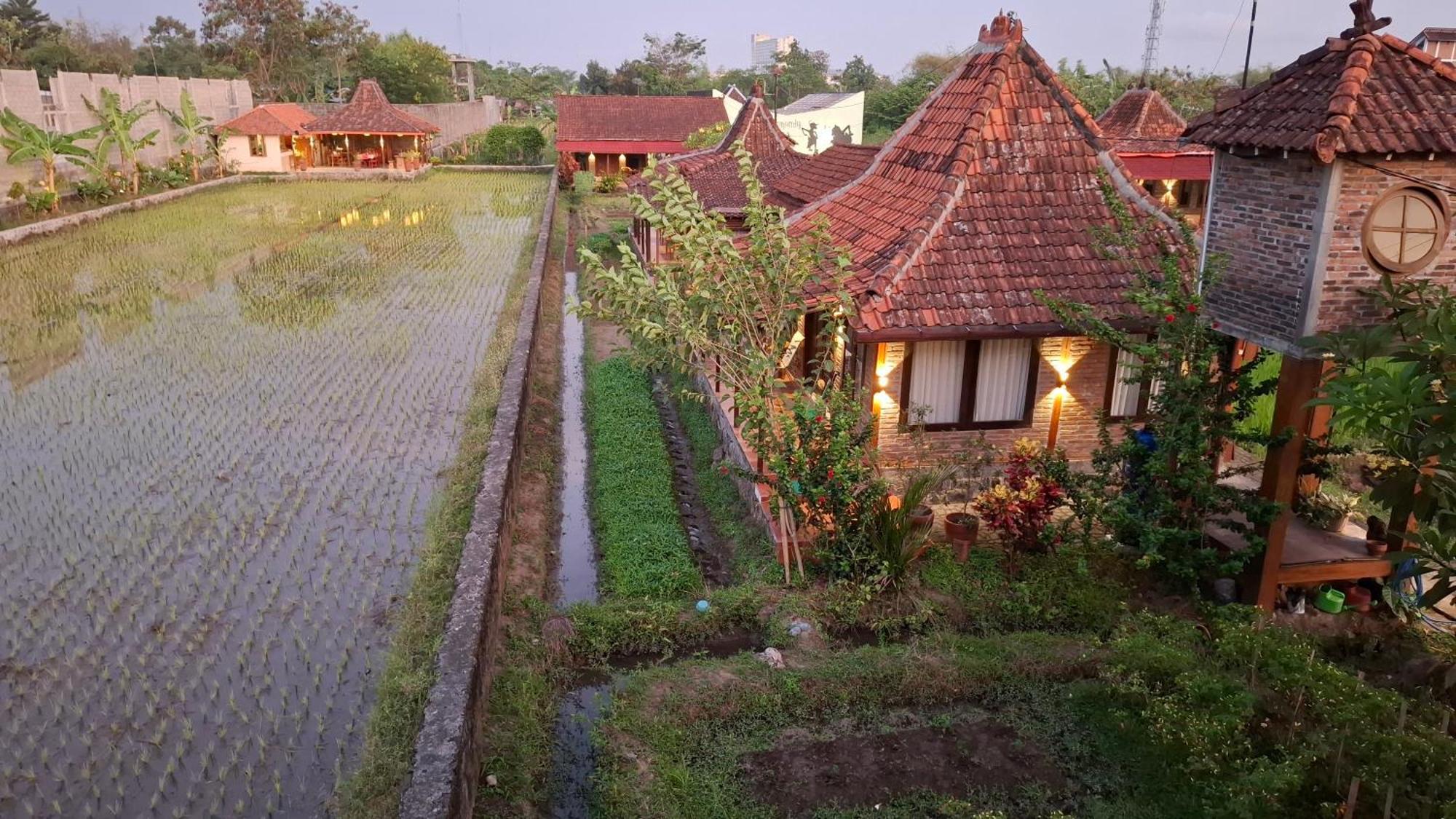 Alamanda Family Villas, Pool & Local Tours Yogyakarta Exteriör bild