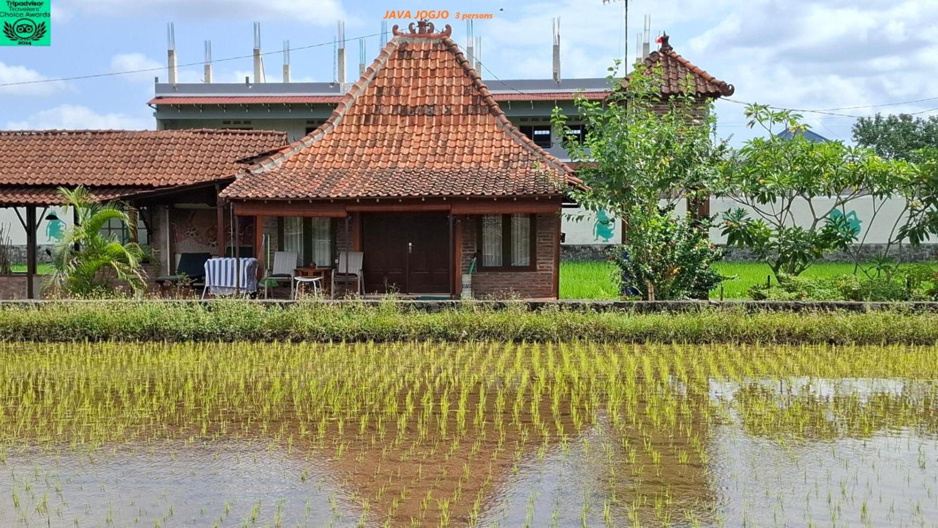Alamanda Family Villas, Pool & Local Tours Yogyakarta Exteriör bild