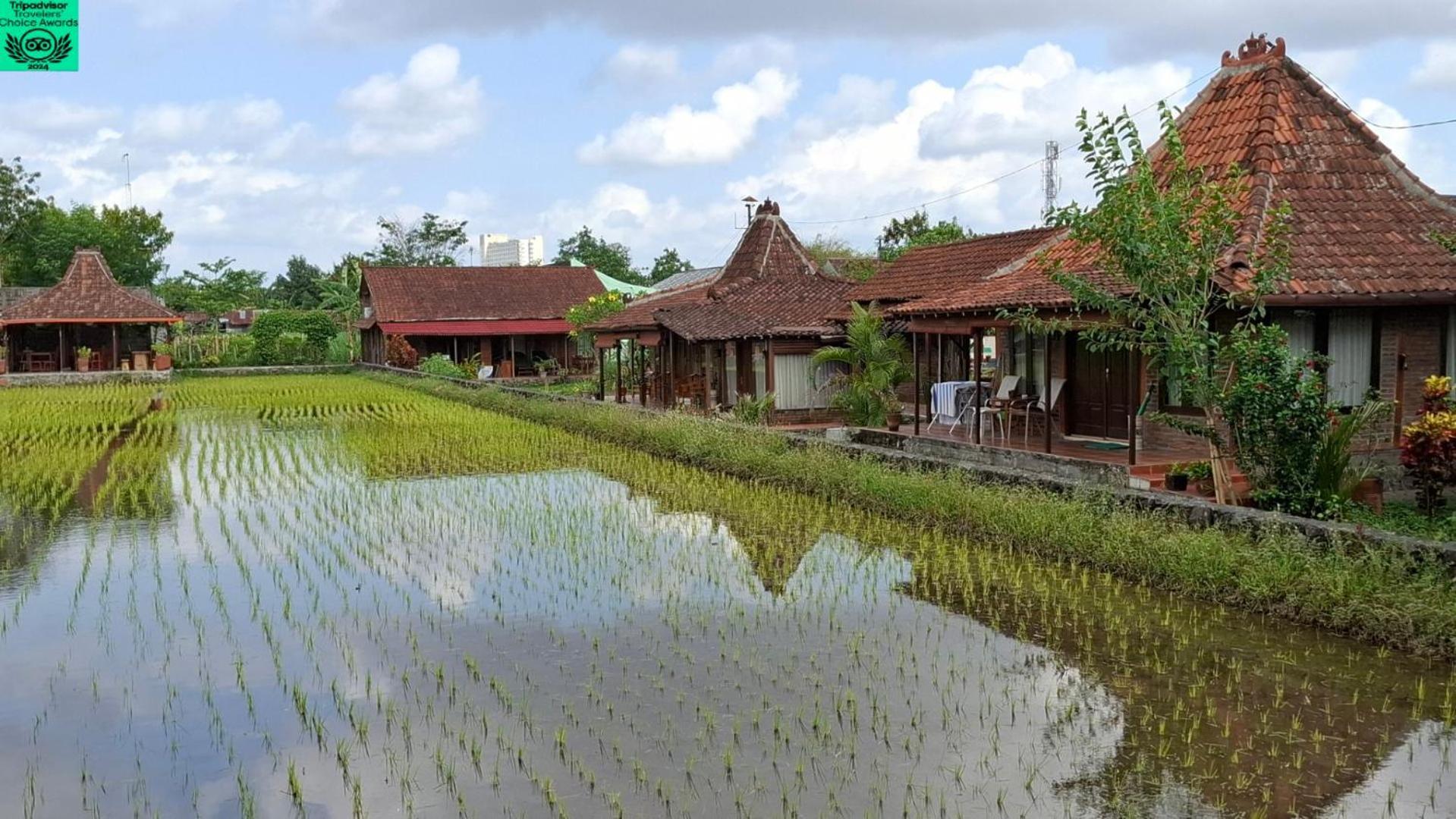 Alamanda Family Villas, Pool & Local Tours Yogyakarta Exteriör bild