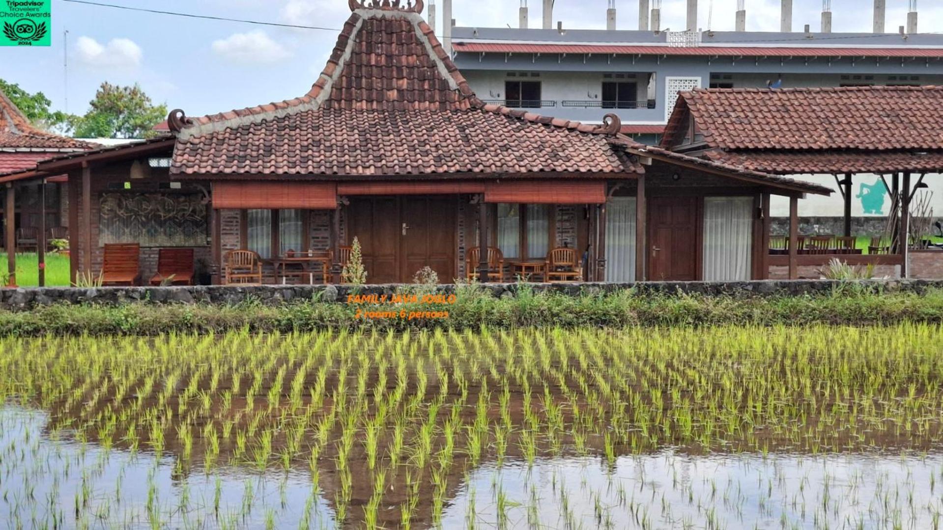 Alamanda Family Villas, Pool & Local Tours Yogyakarta Exteriör bild